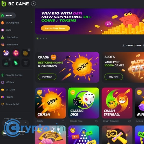 BC.Game Customer Support Your Ultimate Guide to Assistance