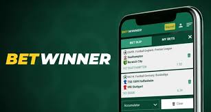 Experience Betting on the Go with BetWinner App for iOS